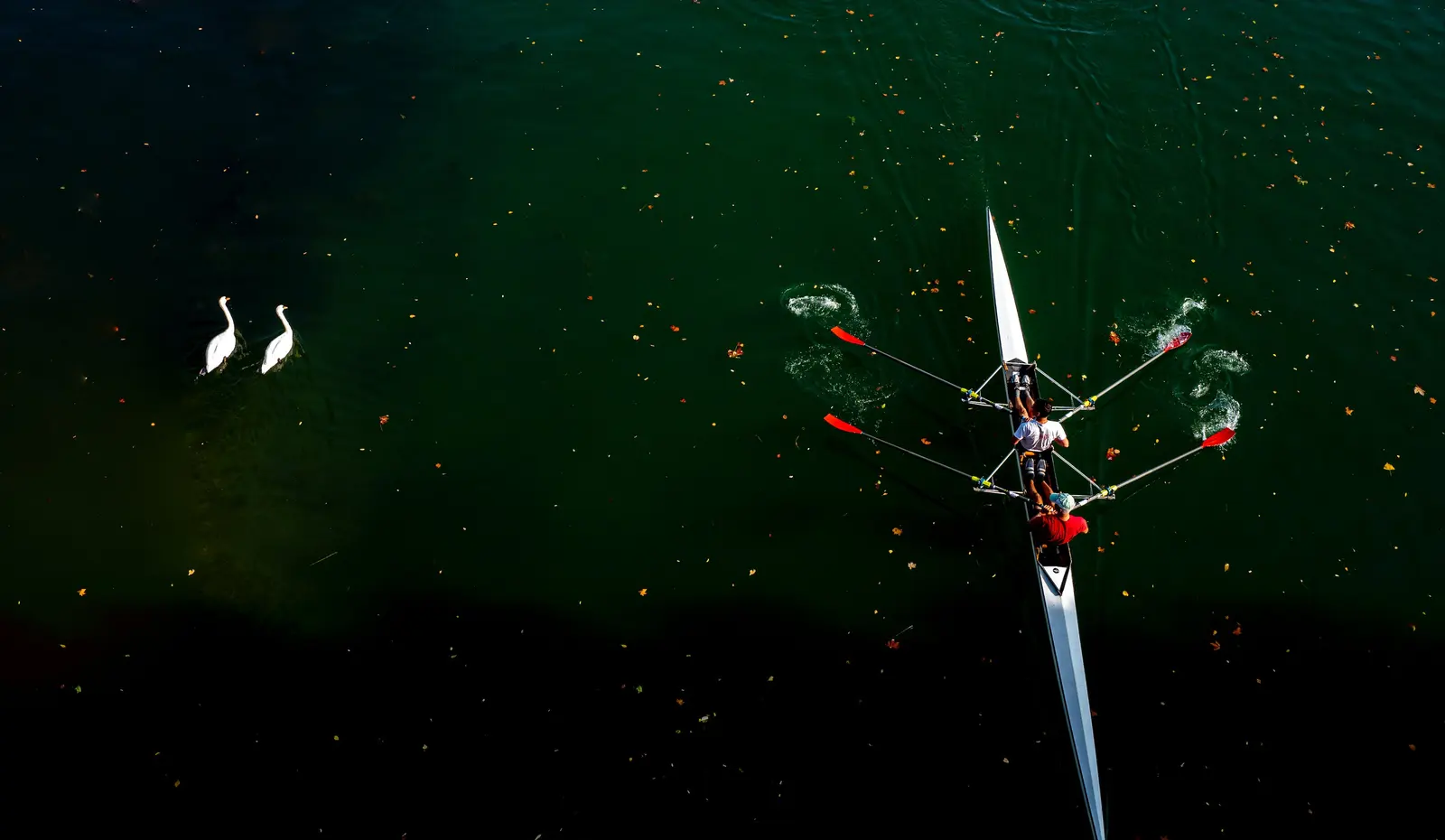Guy Chapellier, photographie